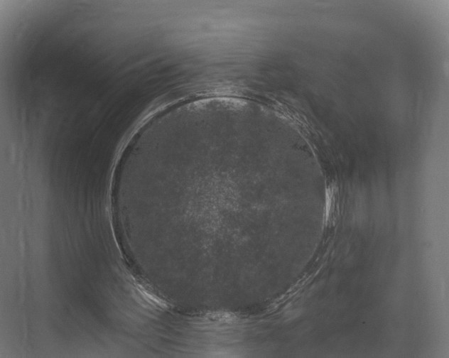 X0000074260195200609011351