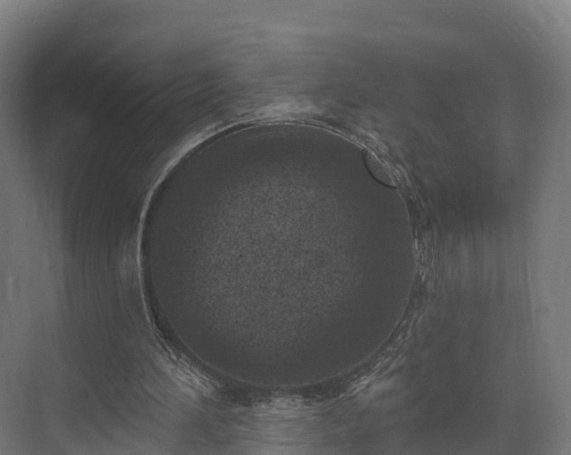 X0000074260196200609011351