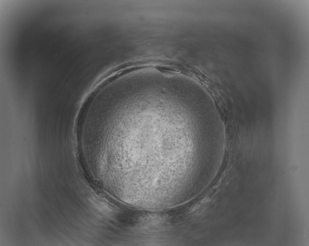 X0000074260198200609011351