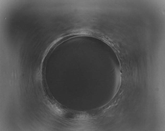 X0000074260200200609011351