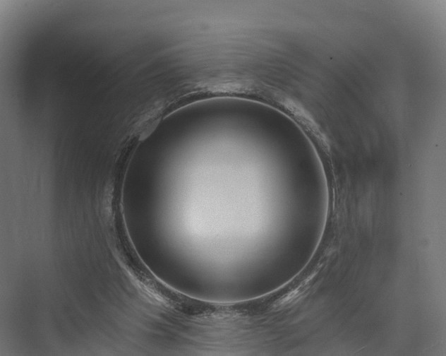 X0000074260201200609011351