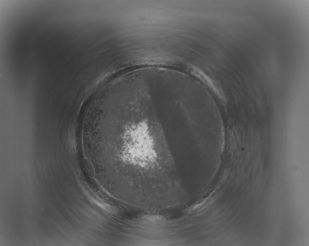 X0000074260203200609011351