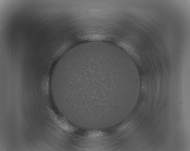 X0000074260206200609011351