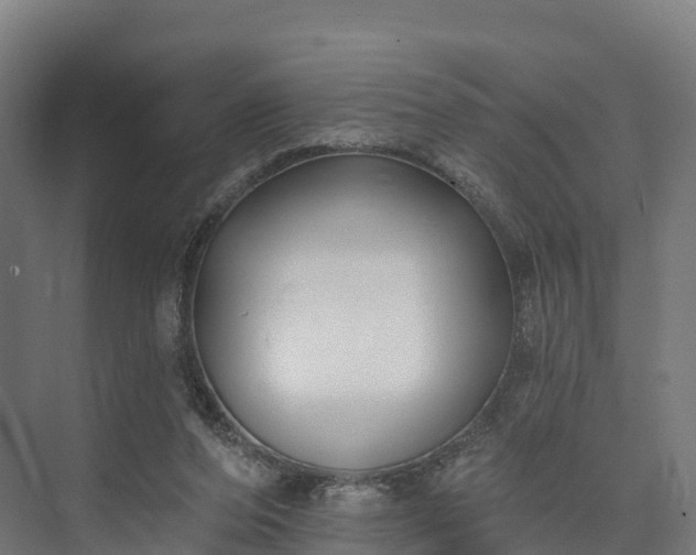 X0000074260208200609011351