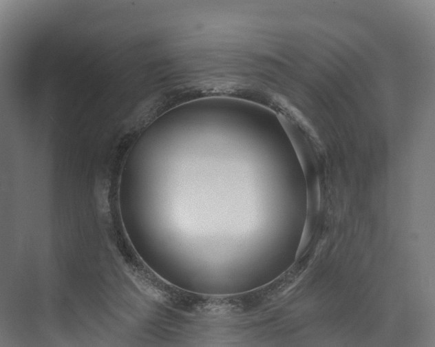 X0000074260209200609011351