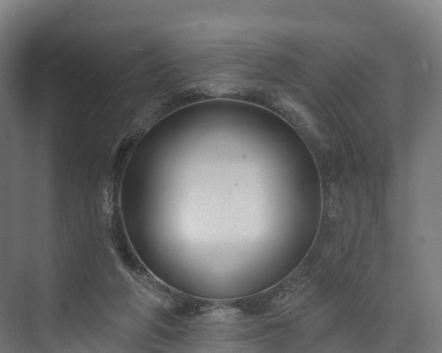 X0000074260210200609011351