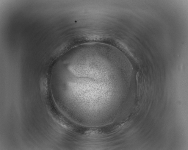 X0000074260211200609011351