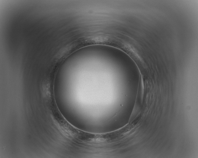 X0000074260212200609011351