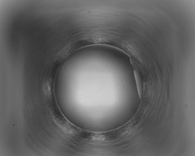 X0000074260214200609011351