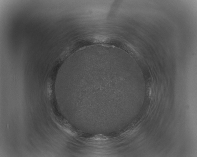 X0000074260215200609011351