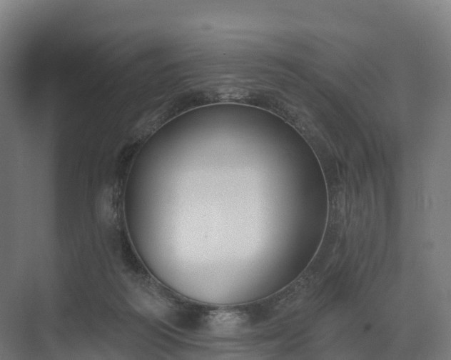 X0000074260218200609011351