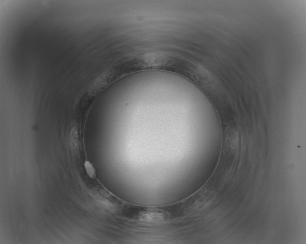 X0000074260220200609011351