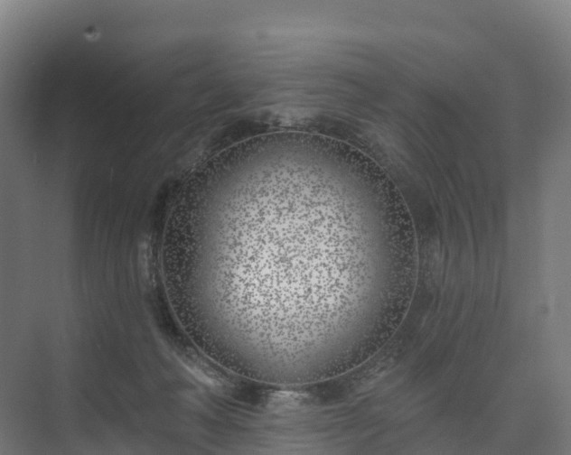 X0000074260222200609011351