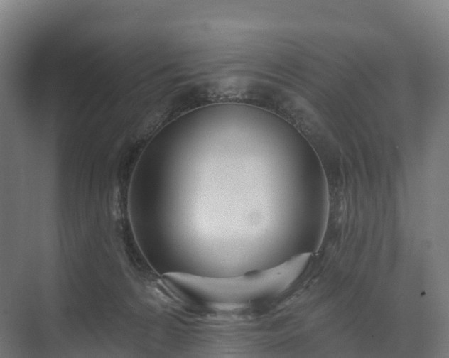 X0000074260224200609011351