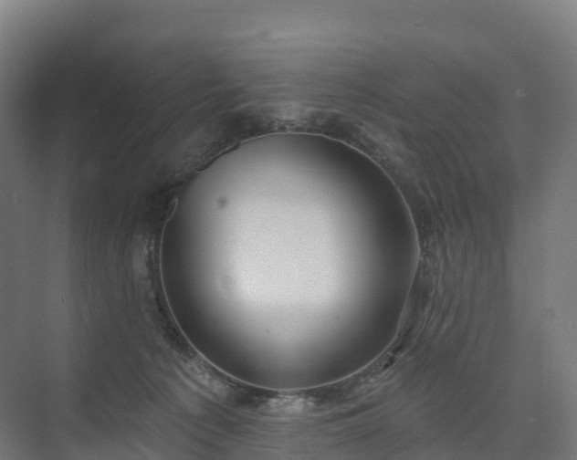 X0000074260225200609011351