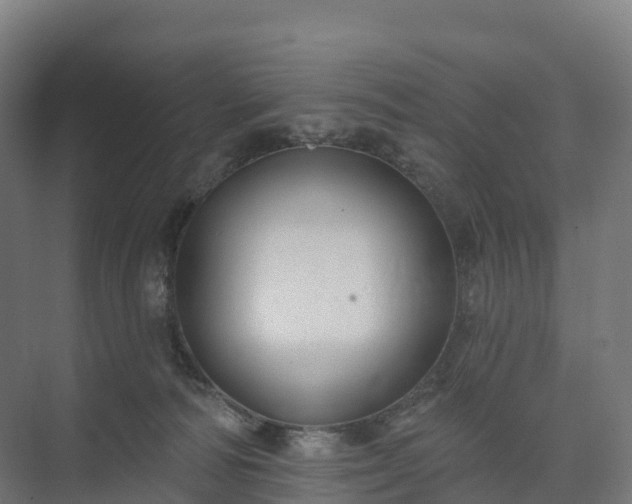 X0000074260226200609011351