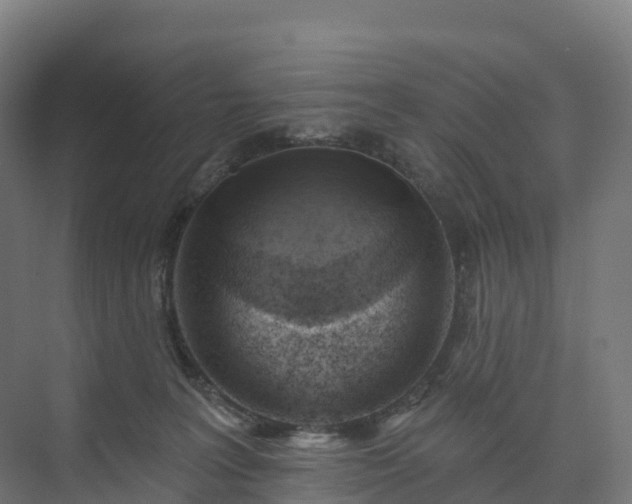 X0000074260227200609011351