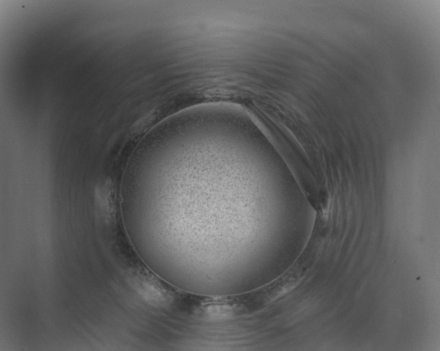 X0000074260228200609011351