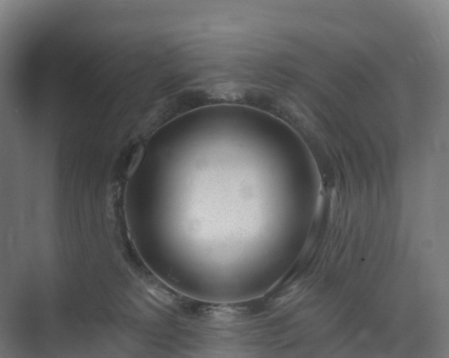 X0000074260229200609011351