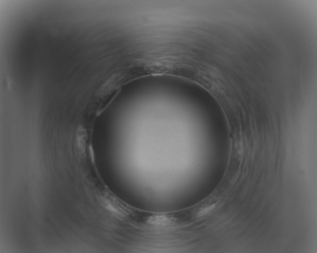 X0000074260231200609011351