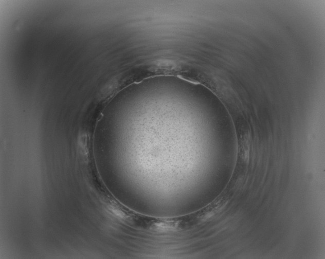 X0000074260232200609011351