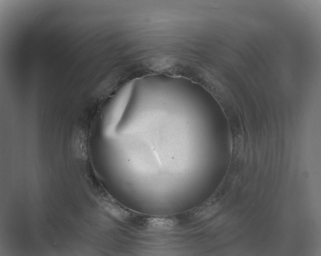 X0000074260234200609011351