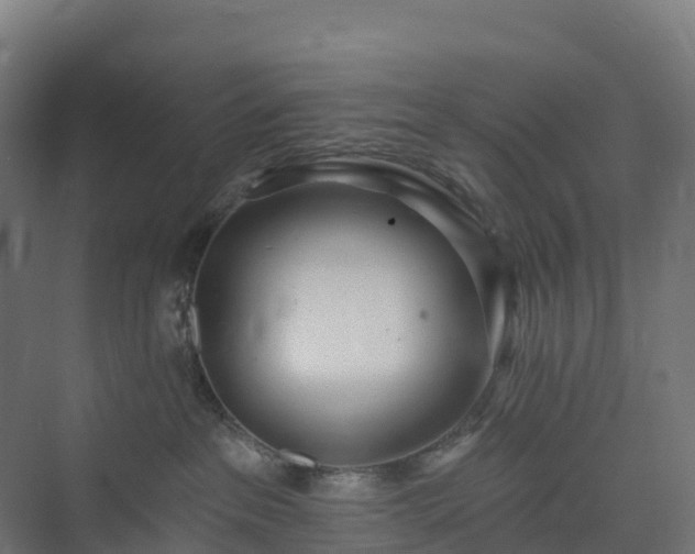 X0000074260237200609011351