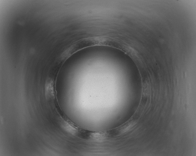 X0000074260238200609011351