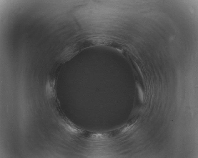 X0000074260239200609011351