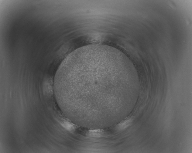 X0000074260240200609011351