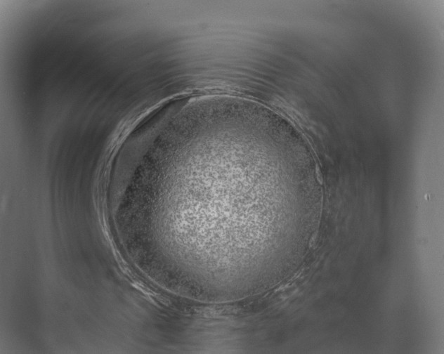 X0000074260241200609011350