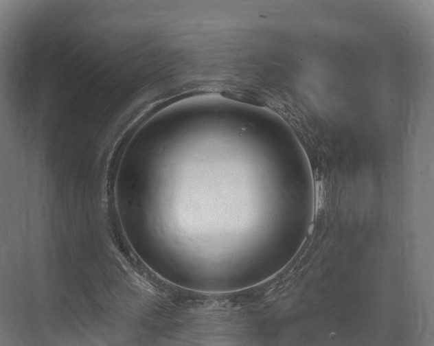 X0000074260243200609011350