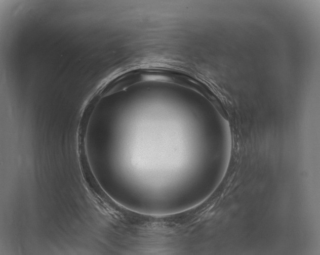 X0000074260244200609011350