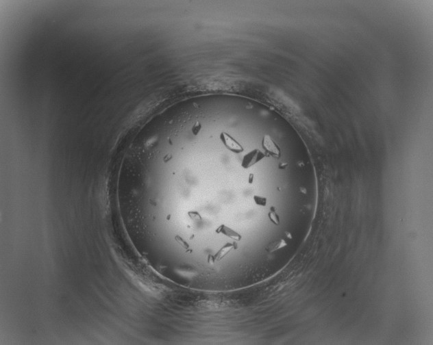 X0000074260250200609011350