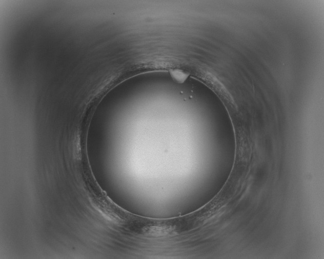 X0000074260251200609011350