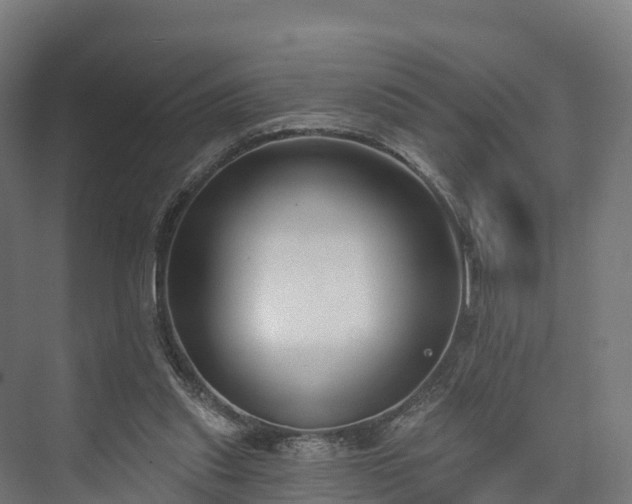 X0000074260253200609011350