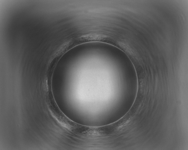 X0000074260254200609011350