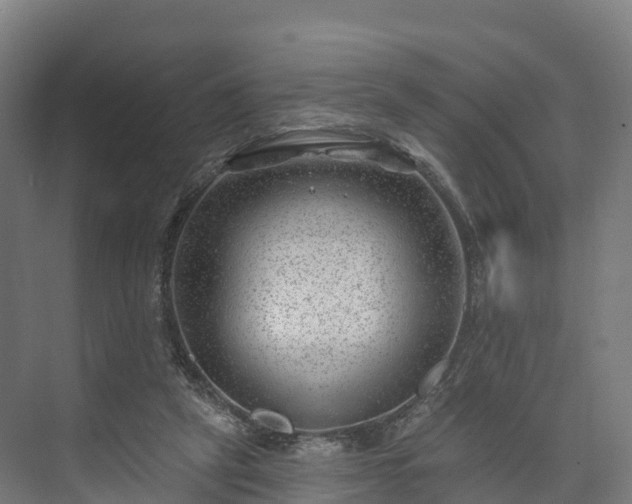 X0000074260257200609011350