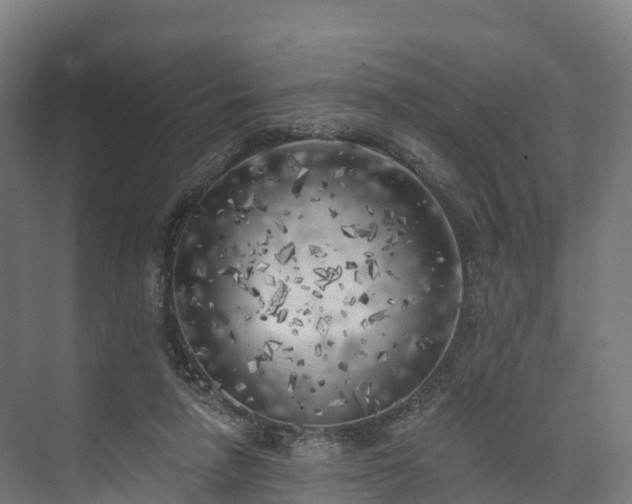 X0000074260258200609011350