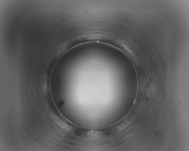 X0000074260261200609011350