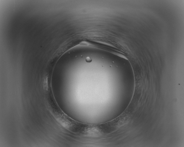 X0000074260262200609011350