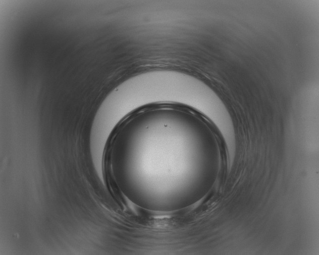 X0000074260264200609011350