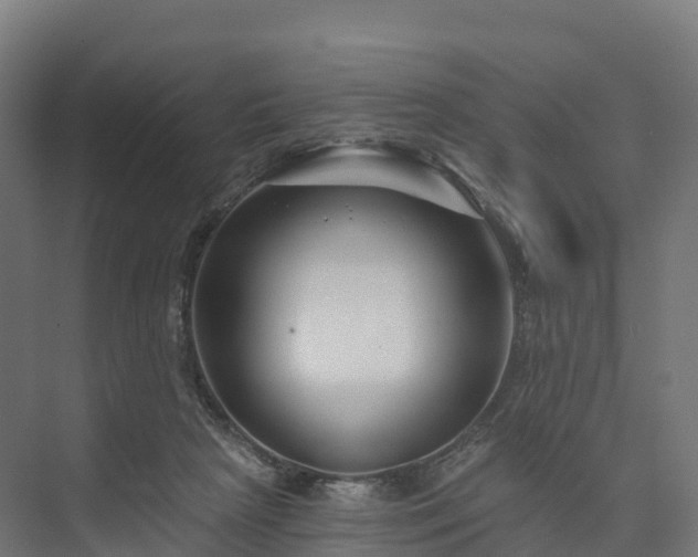 X0000074260265200609011350