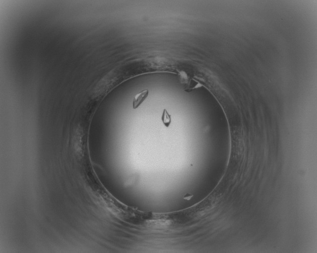 X0000074260266200609011350