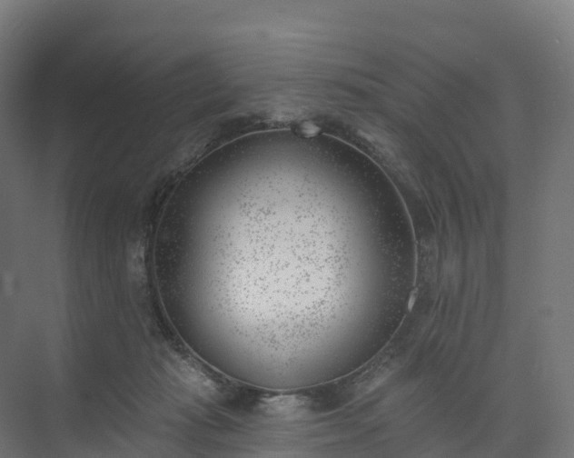 X0000074260269200609011350