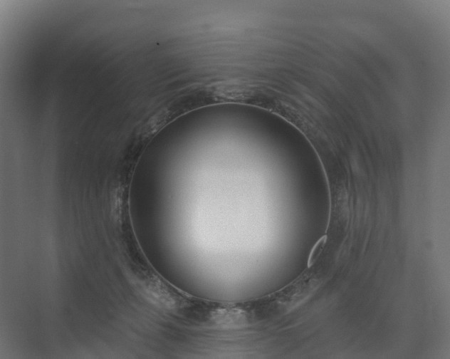 X0000074260271200609011350