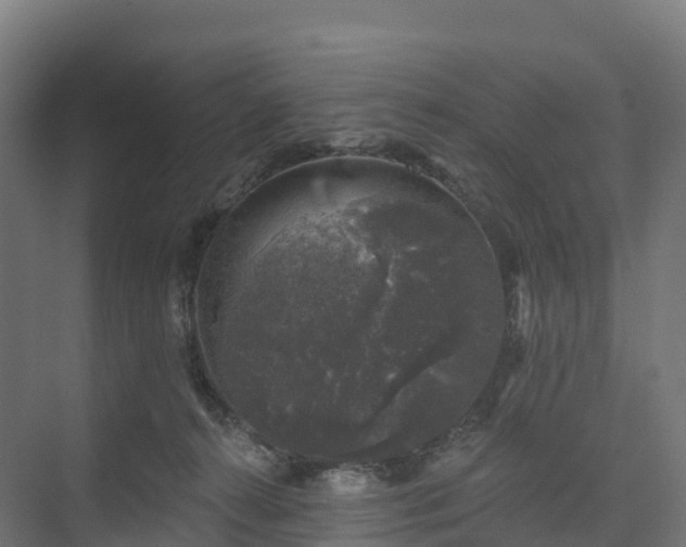 X0000074260272200609011350