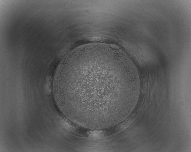 X0000074260273200609011350