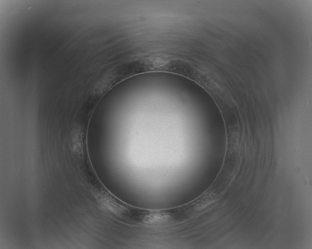 X0000074260274200609011350