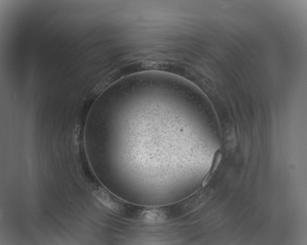 X0000074260275200609011350